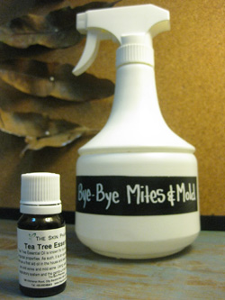 Bye-Bye Mites & Mold – All-Natural Mites & Mold Killer Recipe | littlegreendot.com