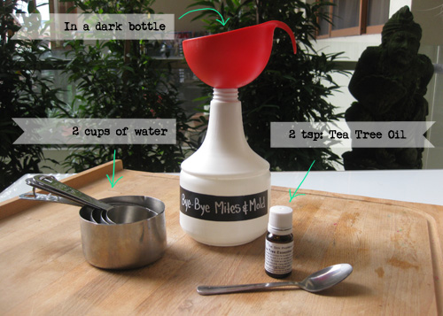 Bye-Bye Mites & Mold – All-Natural Mites & Mold Killer Recipe | littlegreendot.com