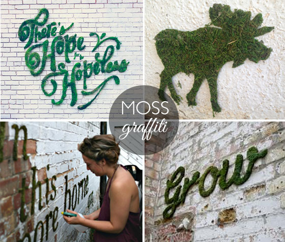 DIY Moss Graffiti Paint Results Little Green Dot