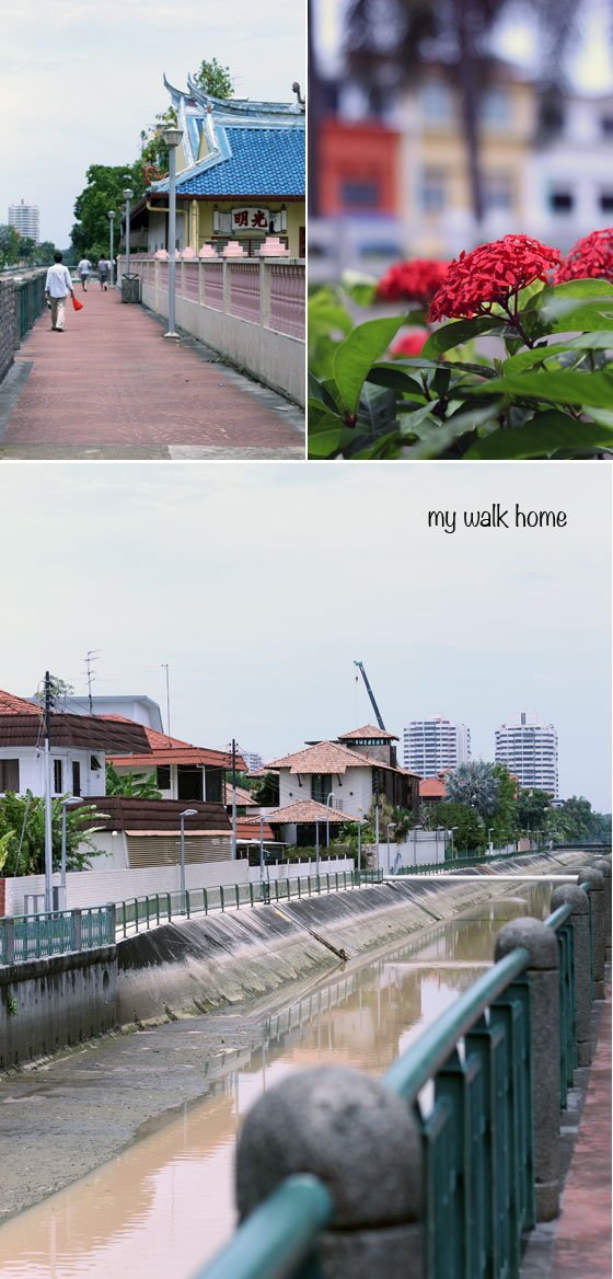 my-walk-home