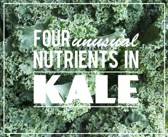 Four Unusual Nutrients In Kale