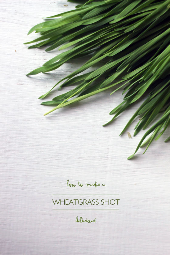 How to make a wheatgrass shot delicious