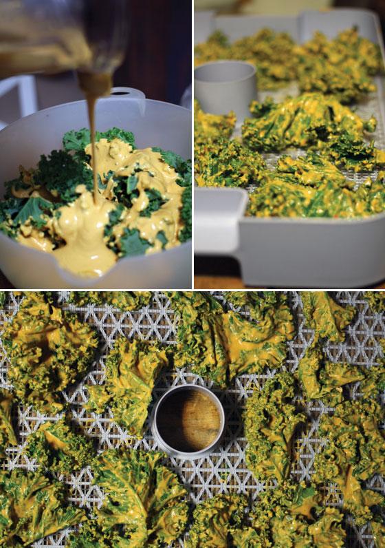 Cheesy kale chips in the dehydrator - Vegan 