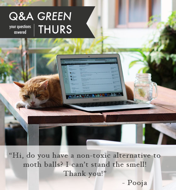 Q&A-Green-Thursday-Question-Heading