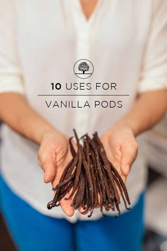 10 Uses for Vanilla Pods | Little Green Dot