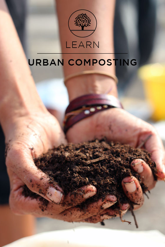 Learn Urban Composting