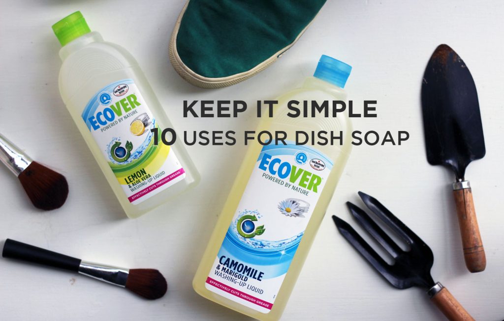 Ten Smart Uses for Dish Soap | littlegreendot.com
