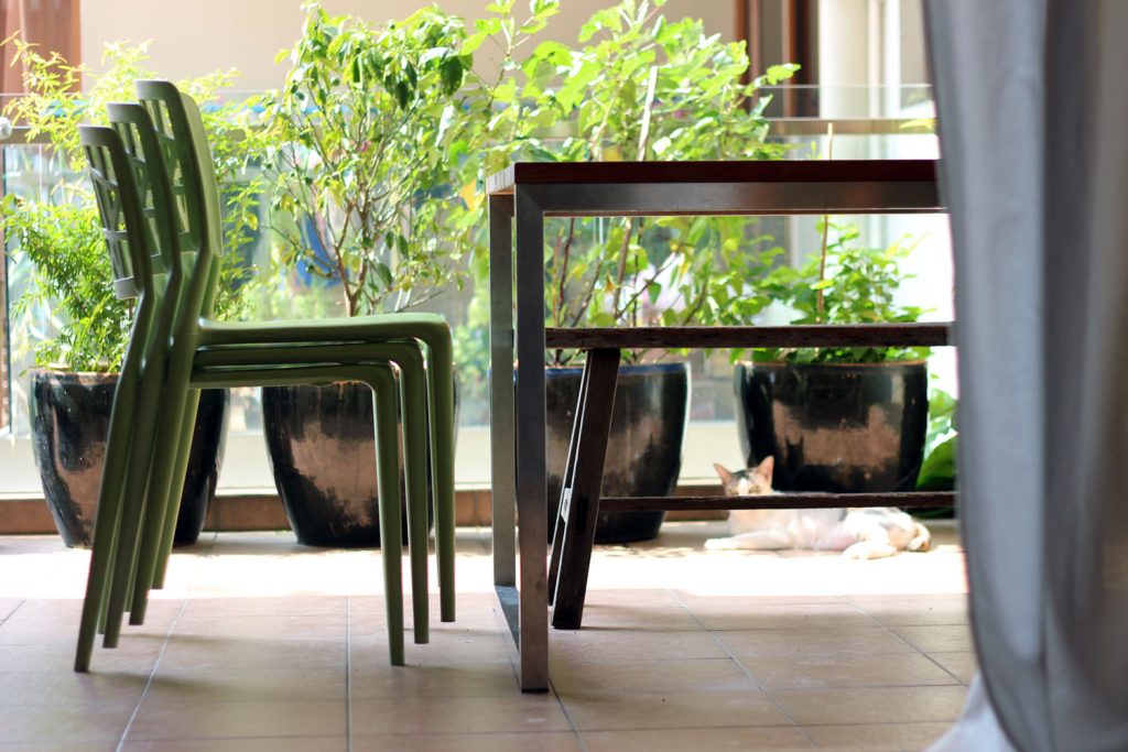 Ten Smart Uses for Dish Soap - Wash Outdoor Furniture | littlegreendot.com