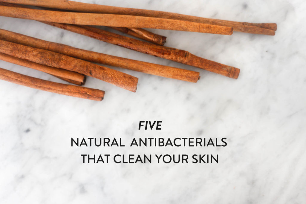 5 safe & natural alternatives to antibacterial soap | littlegreendot.com
