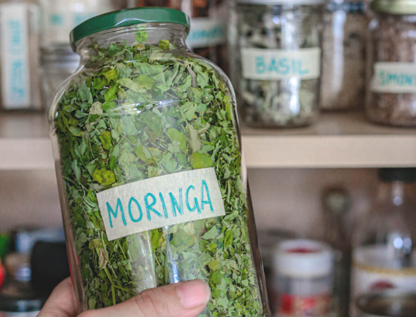 How to Prepare Fresh Moringa for Skincare – and why you want to!