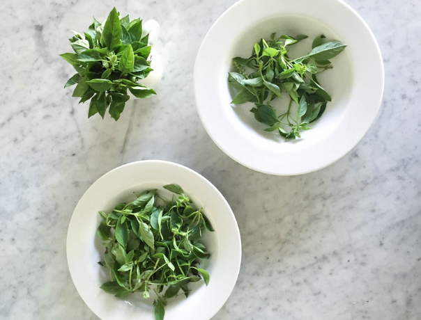 How to make the most of your basil, before it wilts
